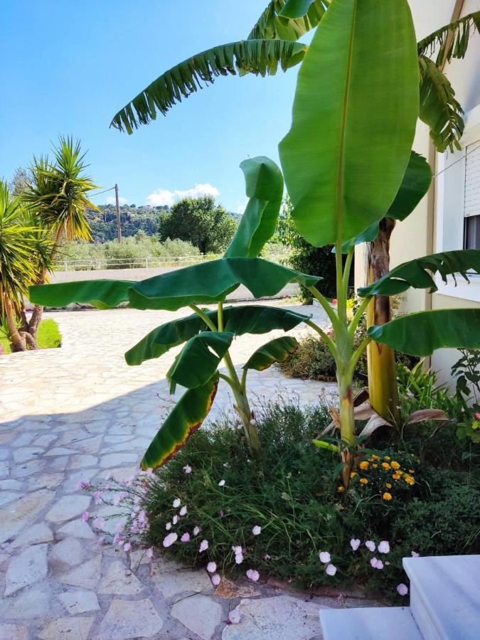 Morfi Διαμέρισμα Kalligoni Εξωτερικό φωτογραφία